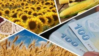 972 milyon liralık ’tarımsal’ destek hesaplara yatırılıyor