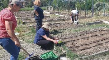 Tarım ve Bahçıvanlık Bahar Dönemi Eğitimleri Başlıyor