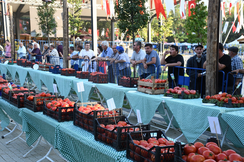 38. Değirmenköy Domates Festivali