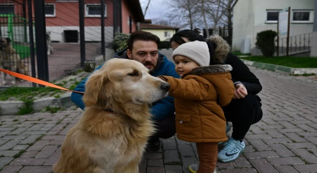 Bursa Osmangazi’de 78 can dost sıcak yuvaya kavuşturuldu