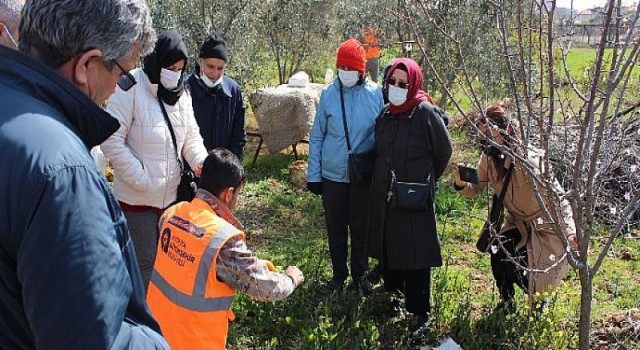 Büyükşehir’den ilçelerde budama ve aşı eğitimi