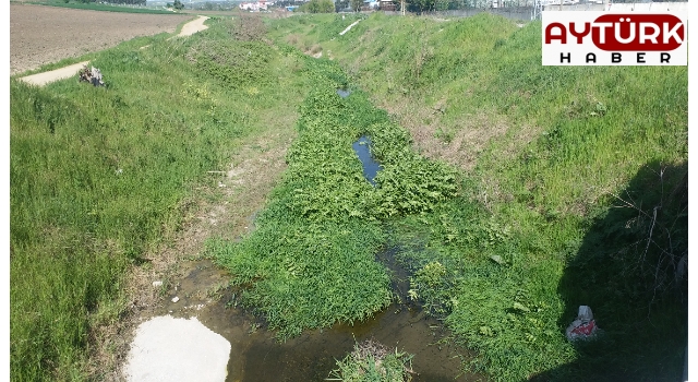 Değirmenköy dereleri İSKİ'den ıslah çalışması bekliyor