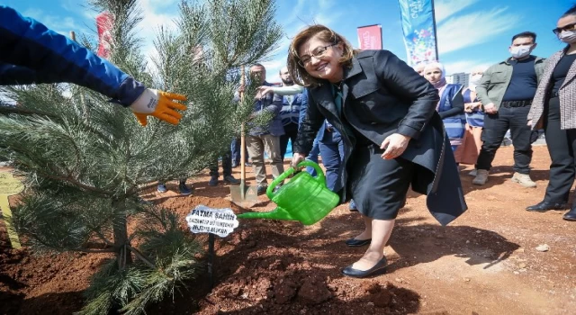 Gaziantep Büyükşehir 250 karaçam dikimi yaptı