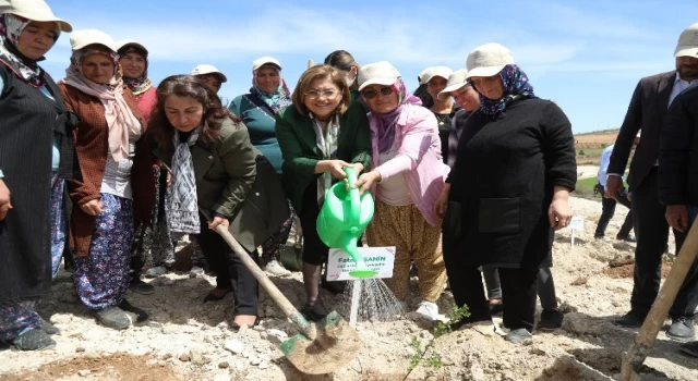 Gaziantep’te 50 kadın çiftçi projeden yararlanacak