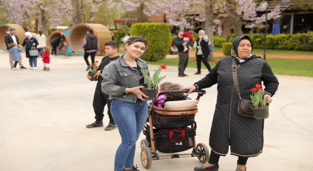 Gaziantep’te baharın müjdecisi laleler