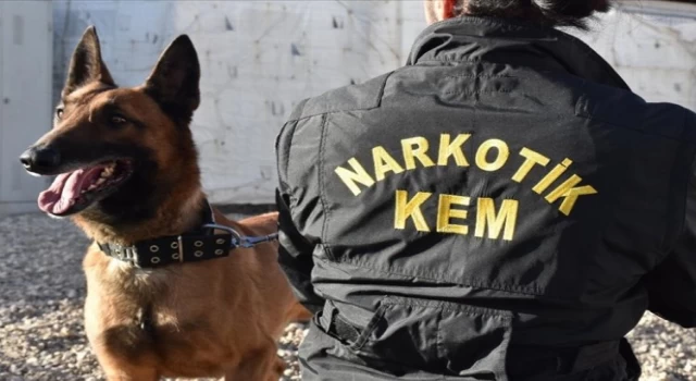 Hakkari’de dedektör köpekler polisin büyük destekçisi