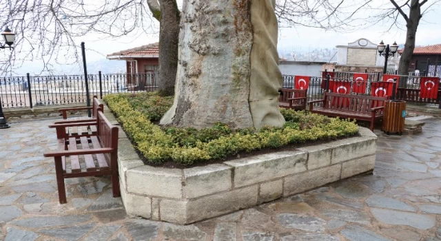 Kocaeli tarihi Orhan Camii çiçek açtı