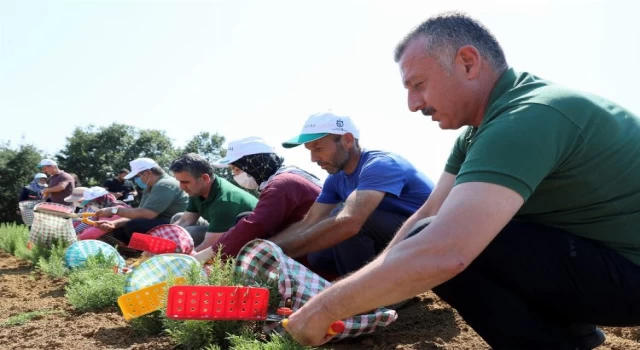 Kocaeli’nde kooperatif ve birliklere hibe desteği başvuruları 22 Nisan’da sona eriyor