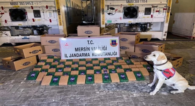 Mersin Limanı’nda 258 kilo uyuşturucu