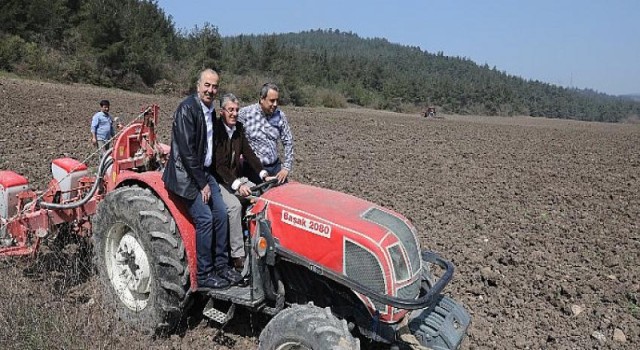 Mudanya Belediyesi’nin Ayçiçek Tohumları Toprakla Buluştu