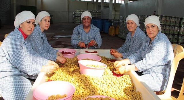 Sofralık zeytin ihracatı 100 bin tona koşuyor