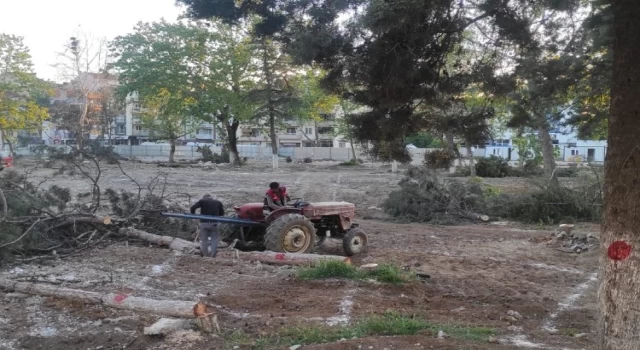 Bursa Yenişehir’de Millet Bahçesi’nde kontrollü katliam!