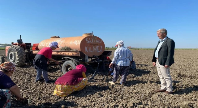 Edirne İpsala’da çiçek üreticiliği başlıyor