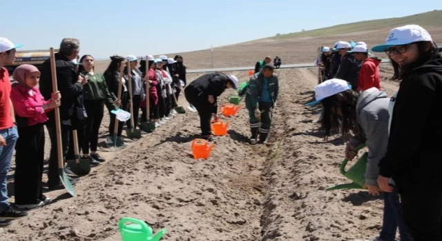 Kayseri Kocasinan’da Engelliler Haftası’nda fidan dikildi