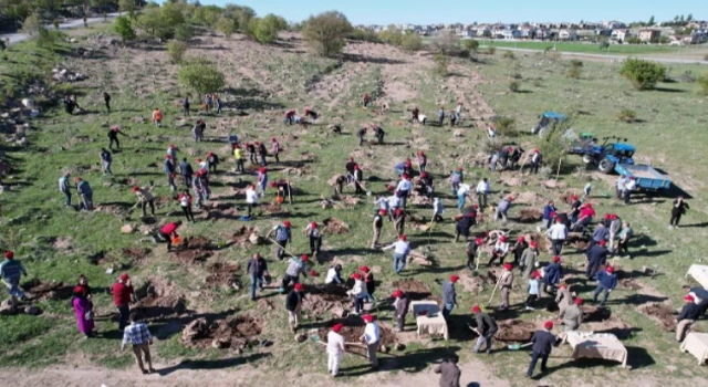 Kayseri Talas’ta fidan etkinliği