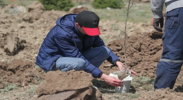 Kütahya’da Haydar Aliyev anısına fidan dikildi