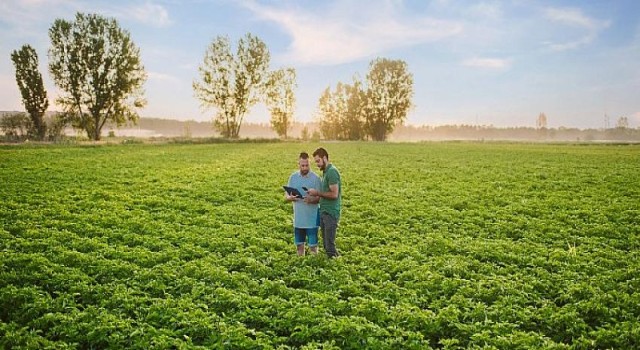 Lay’s Anadolu Meraları İş Birliğiyle Yenileyici Tarım Uygulamalarını Hayata Geçiriyor