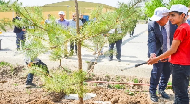 Malatya’da 300 fidan dikildi