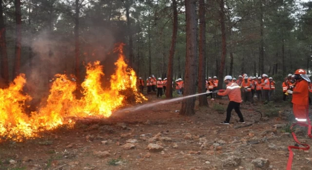 Orman’dan 4 ilde eş zamanlı tatbikat