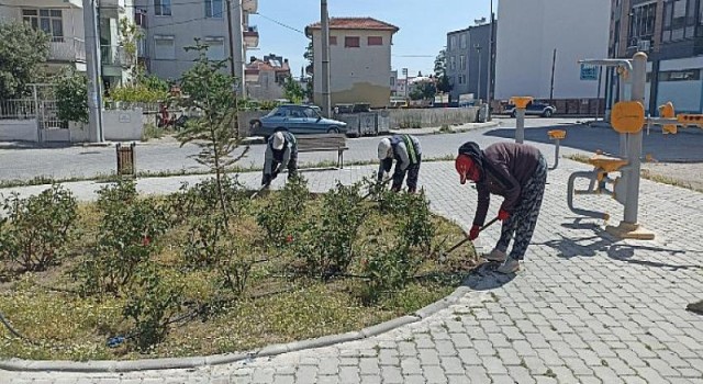 Yabani Otlar Temizleniyor