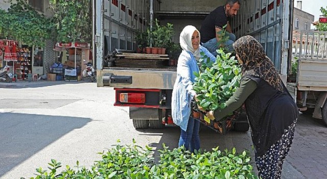 Büyükşehir’den çifçiye Süper Meyve desteği