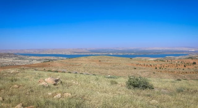 Gaziantep Nizip’in konut ihtiyacına ’Fıstık’ gibi çözüm