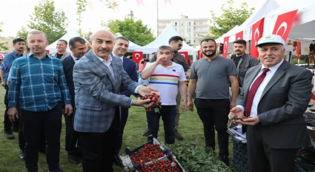 Mardin’de 16. Kiraz Festivali başladı