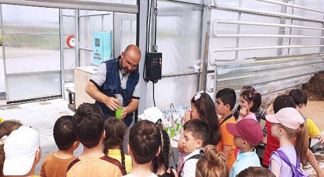 Minikler Bitki Yetiştirmenin İnceliklerini Öğrendiler