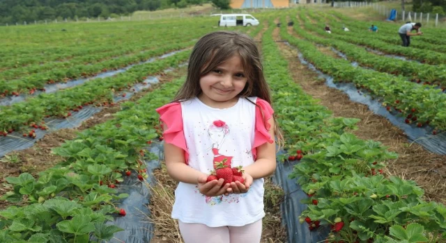 Sakarya’da genç kuşağa ’tarım’ aşısı