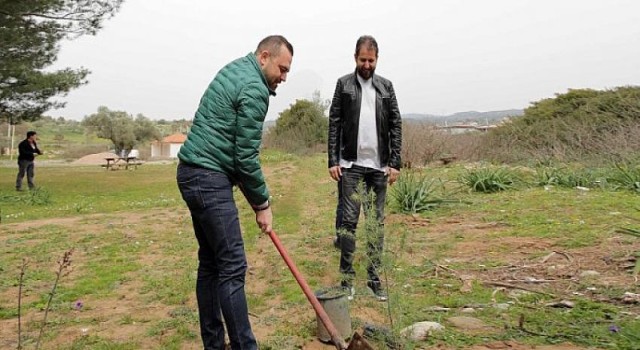 Seferihisar yeniden yeşeriyor!