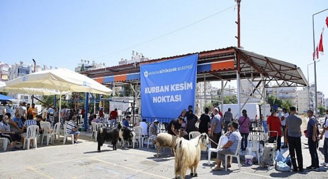 Antalya Büyükşehir’den üç noktada ücretsiz kurban kesimi