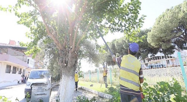 Aydın Büyükşehir Belediyesi’nden Germencik’te Yaz Temizliği