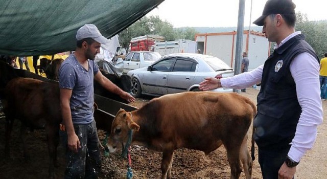 Çankaya’da Kurban Bayramı Hareketliliği