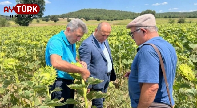 CHP’li Tekirdağ Milletvekili Aygun, Tarım Bakanı’na Bursa Ovası’ndan seslendi