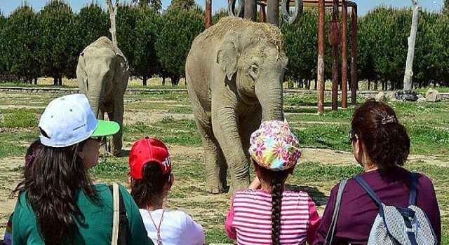 Doğal Yaşam Parkı’na ziyaretçi akını