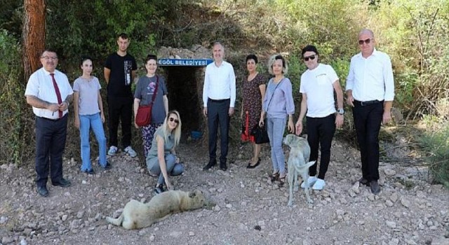 İnegöl Belediyesi Sokak Canlıları İçin Doğal Yaşam Alanları Oluşturuldu