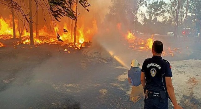 İzmir’in ormanlarını korumak için zabıta iş başında