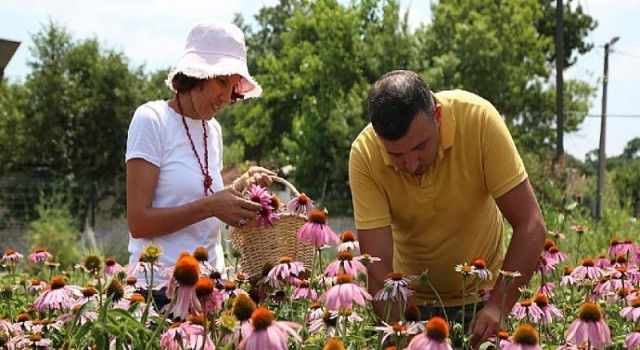 Nilüfer’in Tıbbi-Aromatik Bitki İşleme Tesisi Projesi’ne BEBKA’dan hibe