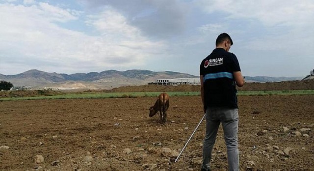 Sincan Belediyesi Kurban Timi Sahadaydı