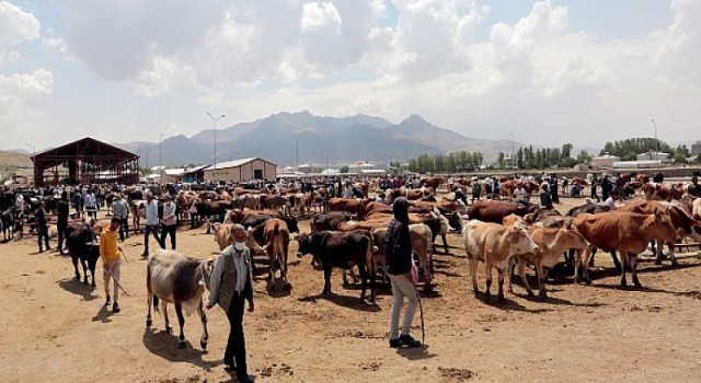 Van Büyükşehir Belediyesi, kent genelindeki kurban kesim noktalarını belirledi.