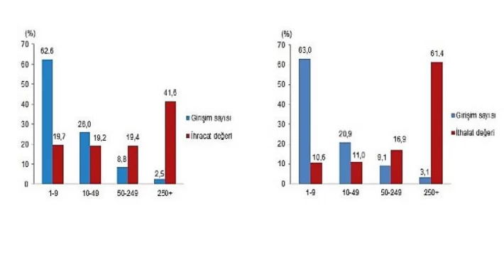 İhracatın yüzde 41,6’sını, ithalatın ise yüzde 61,4’ünü büyük ölçekli girişimler gerçekleştirdi