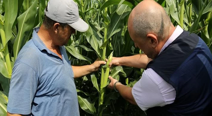 Kocaeli Büyükşehir’in tarıma desteği ilaç gibi geldi