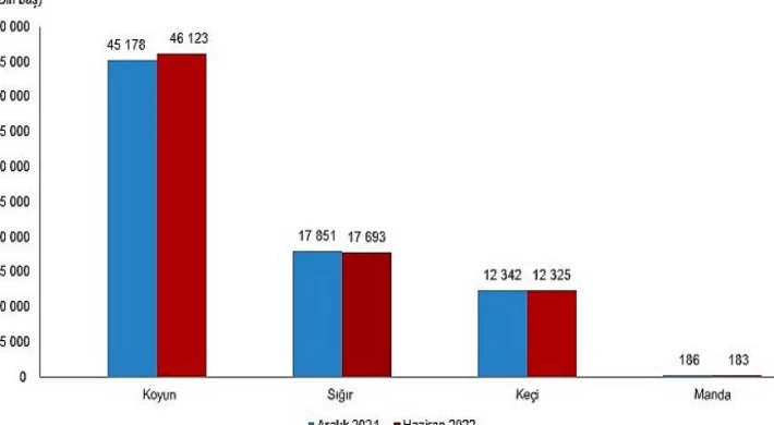 TÜİK Hayvansal Üretim İstatistikleri, Haziran 2022