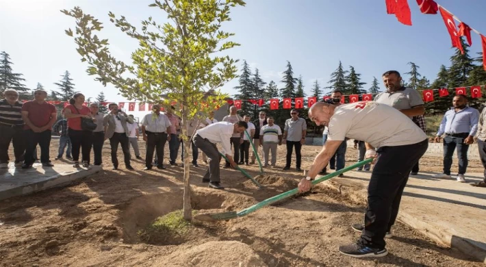 Zafer ve Anma coşkusu ’Barış Çınarı’ ile pekişti