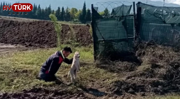 Çukura düşen yavru köpeği A Takımı kurtardı