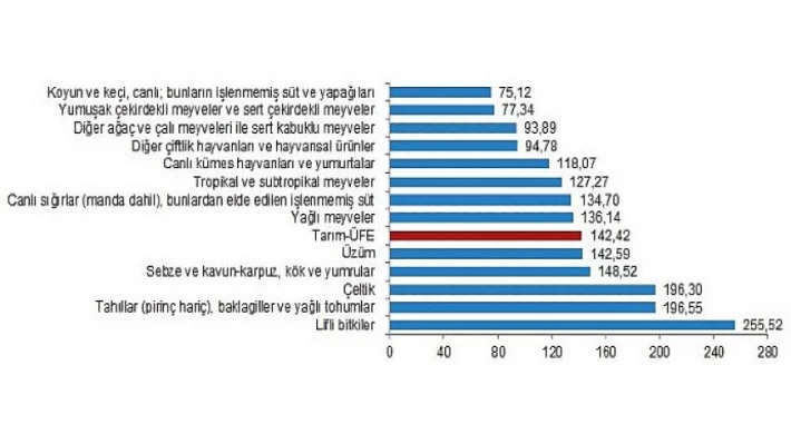 TÜİK: Tarım ürünleri üretici fiyat endeksi (Tarım-ÜFE) yıllık yüzde 142,42 arttı, aylık yüzde 4,34 azaldı