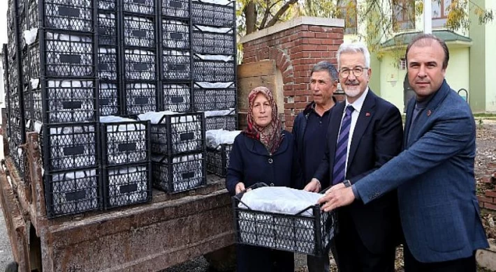 Nilüfer Belediyesi’nden kadın üreticilere 100 bin çilek fidesi