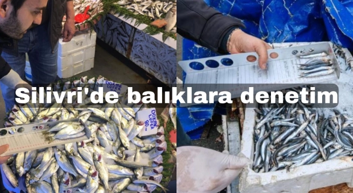 Silivri'de yasaklı balık denetimi