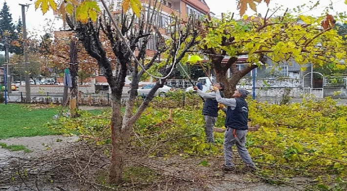 Burhaniye Merkezde Parklar Yenileniyor