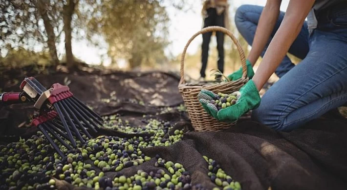 Hepsiburada, Yerli Malı Haftası’nı HepsiTürkiye’den ile Kutluyor